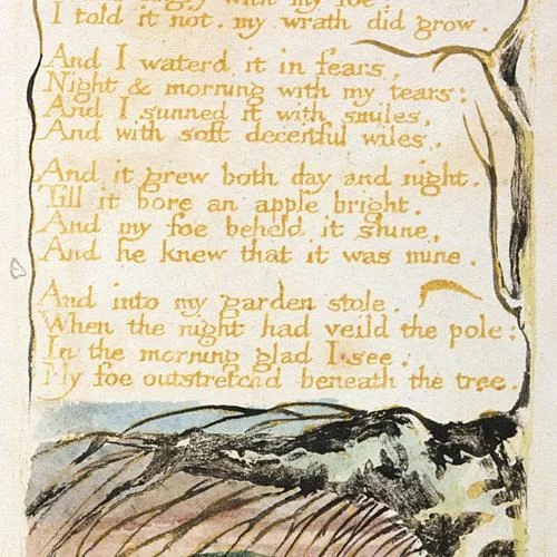 The Connection to William Blake's Poem