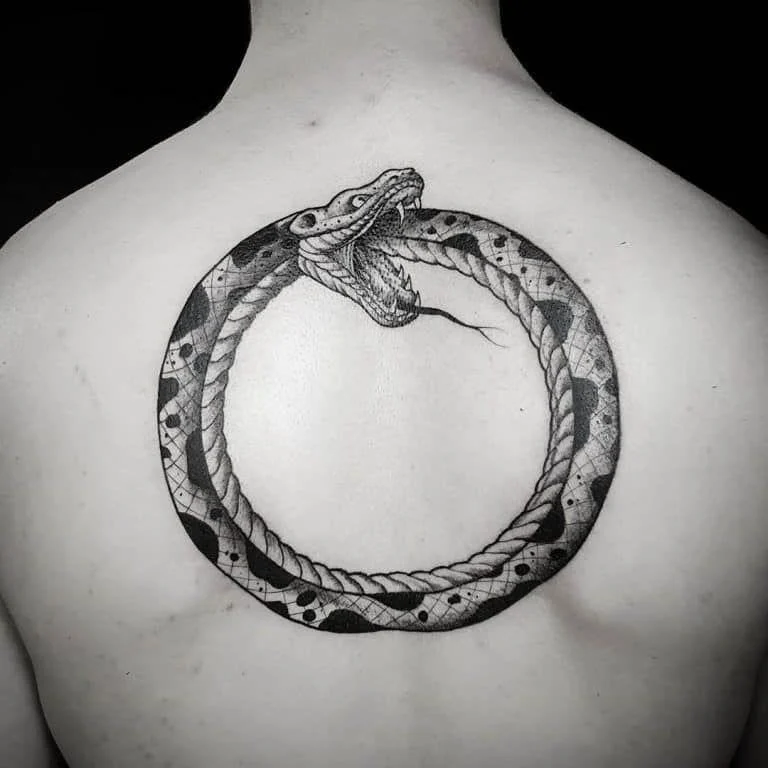 Ouroboros: The Snake Eating Its Tail